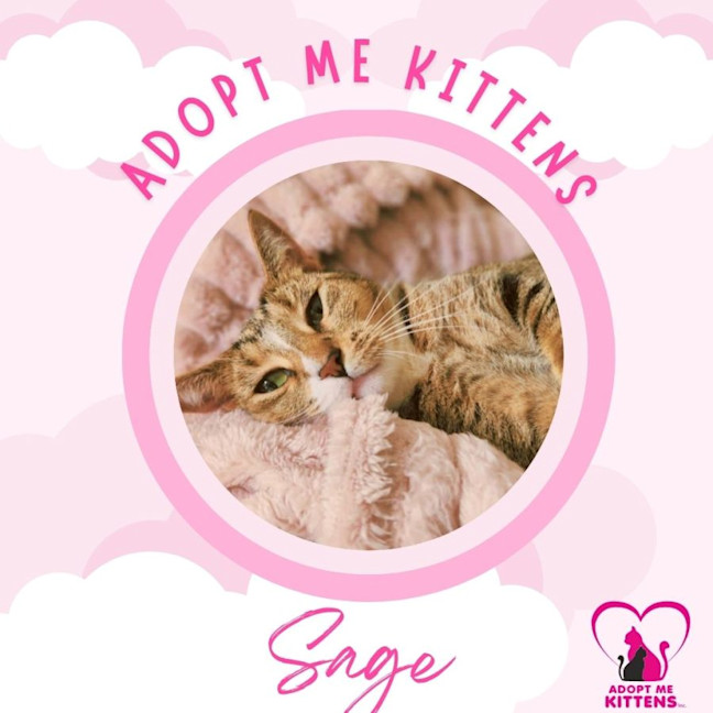 Photo of Sage
