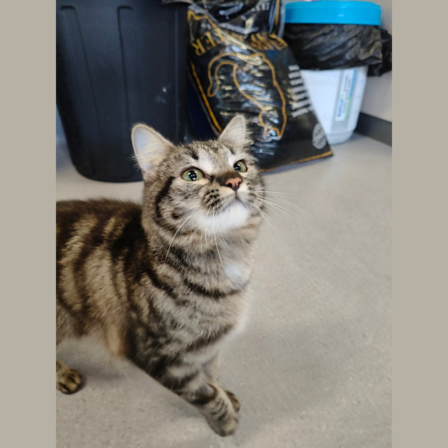 Photo of Billie Bean 