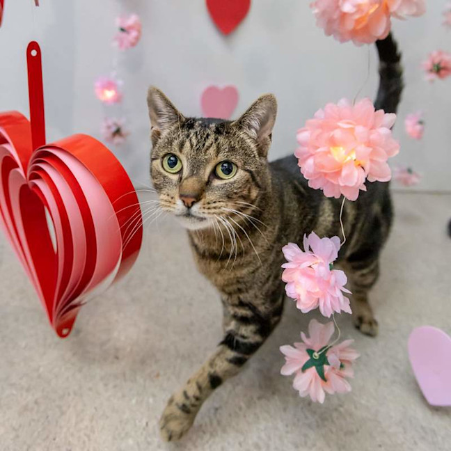 Photo of Turbo
