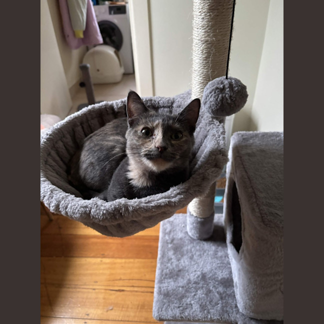 Photo of Bubbles