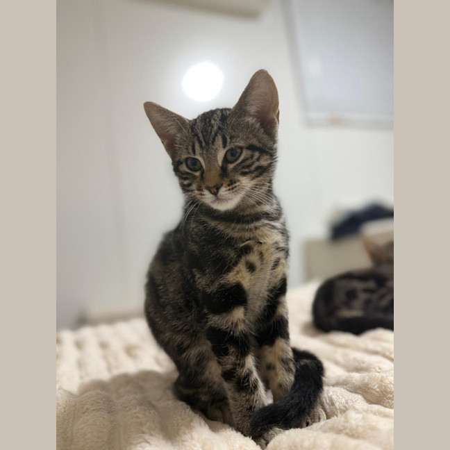 Photo of Boots