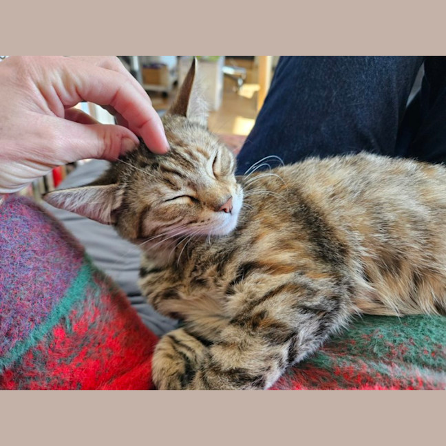 Photo of Shirley