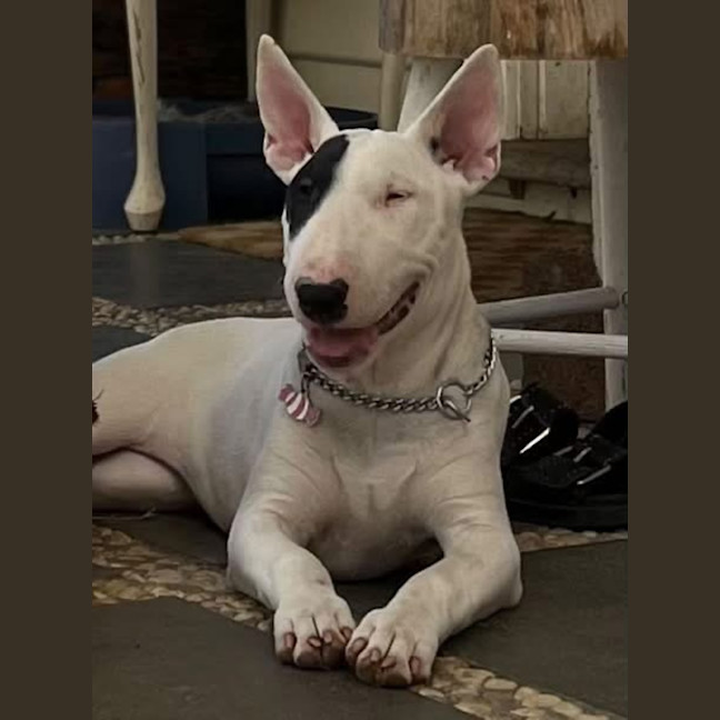 Photo of Pearl