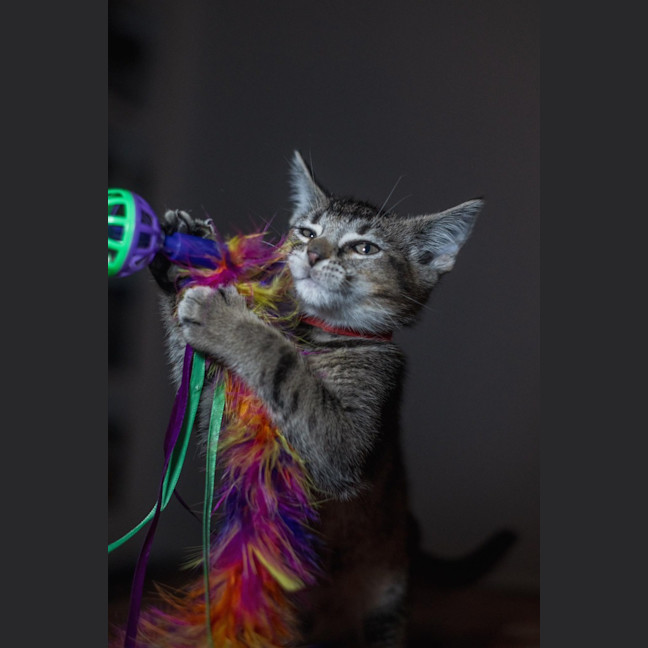 Photo of Madeline   Burnie