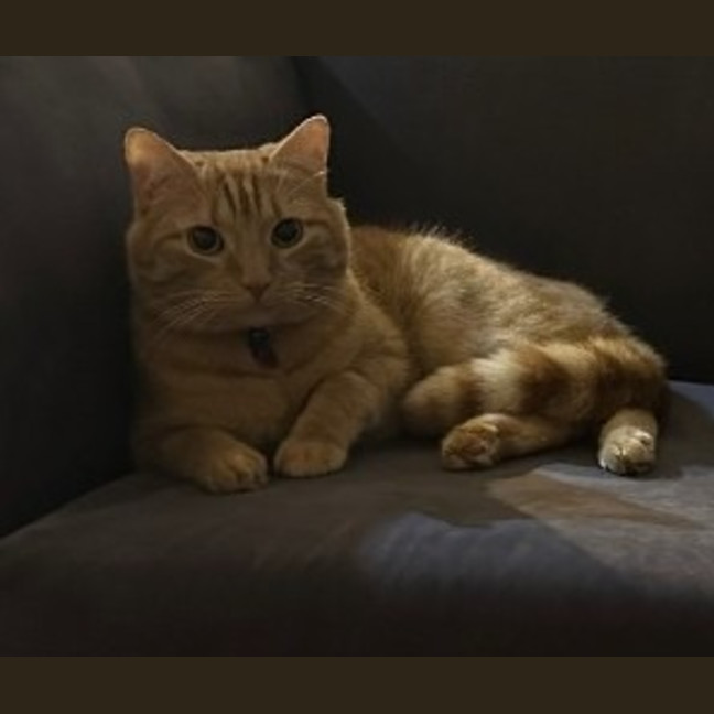 Photo of Garth