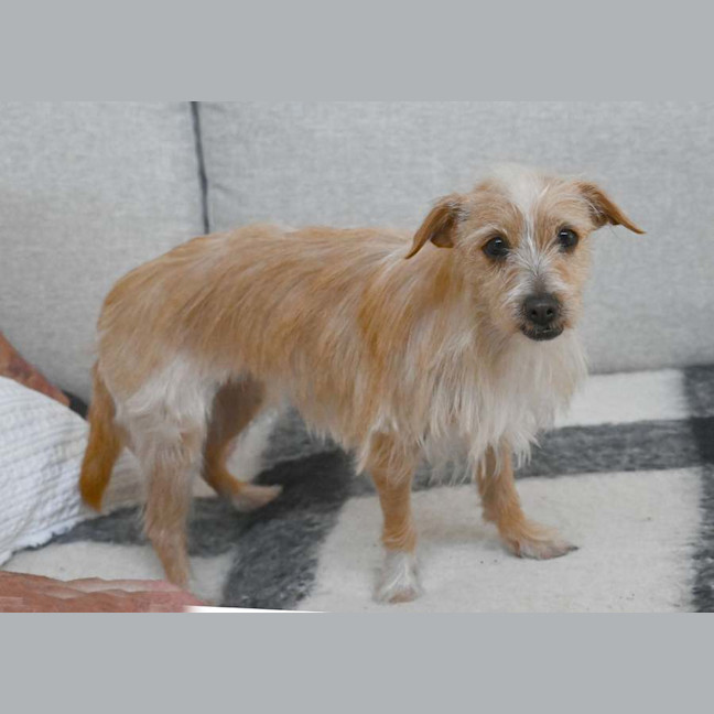 Photo of Jolene