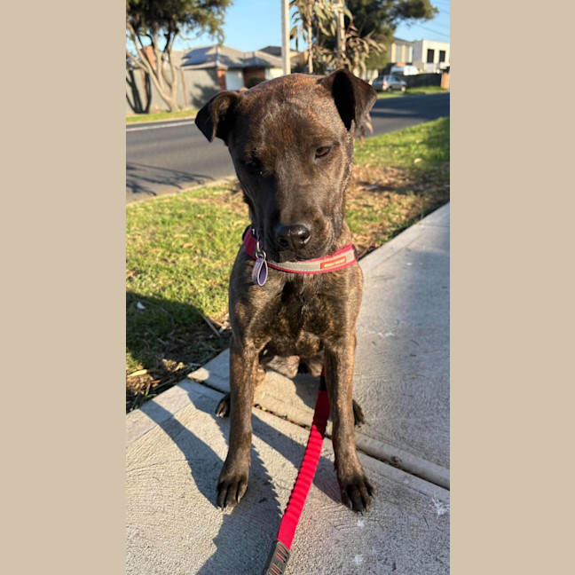 Photo of Ruby