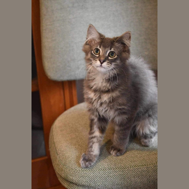 Photo of Velcro And Blu Tac