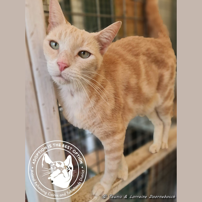 Photo of Eagless And Weston