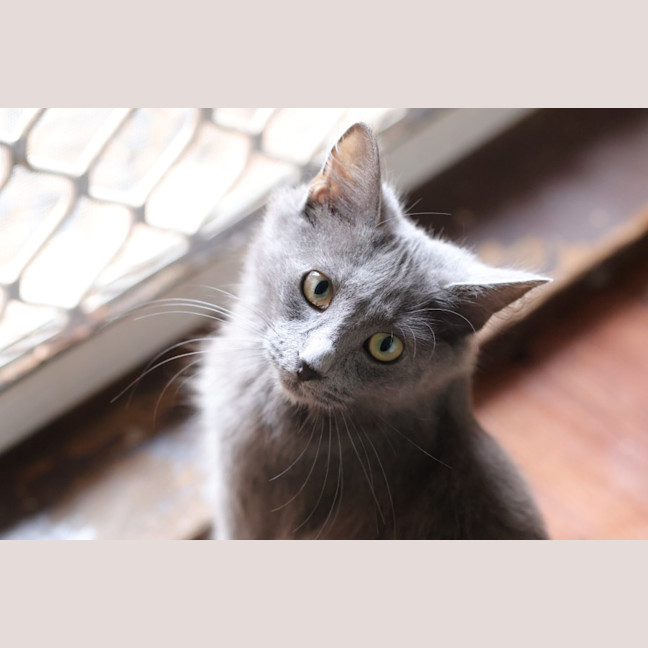 Photo of Storm