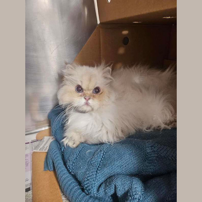 Photo of Cloud
