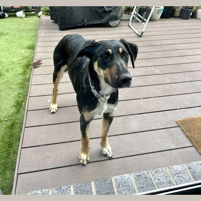 Photo of Dakota