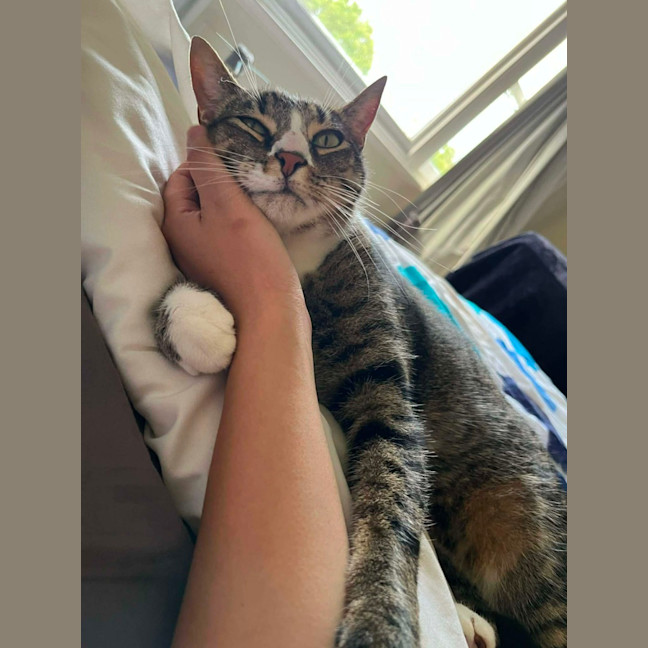 Photo of Loki