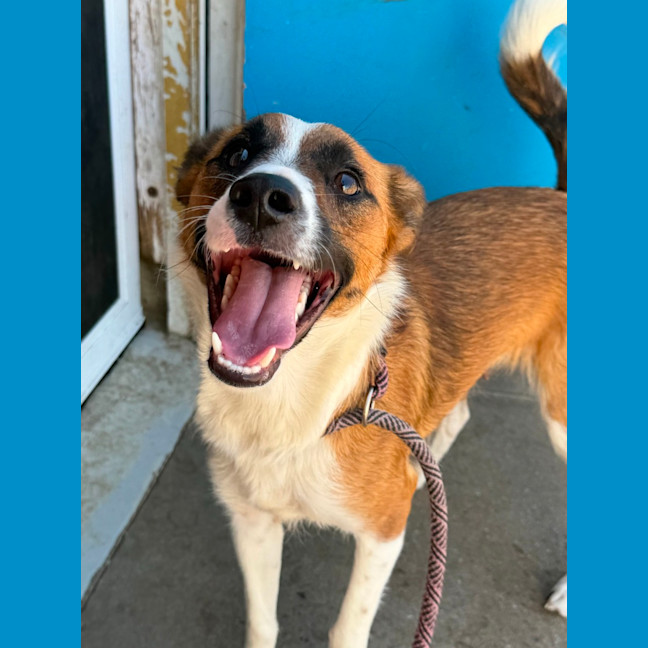 Photo of Pippi / Pepsi