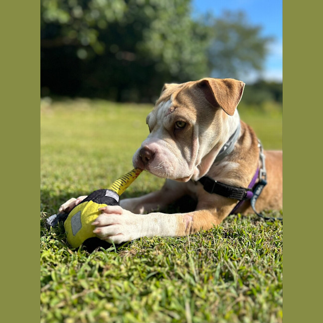 Photo of Milly