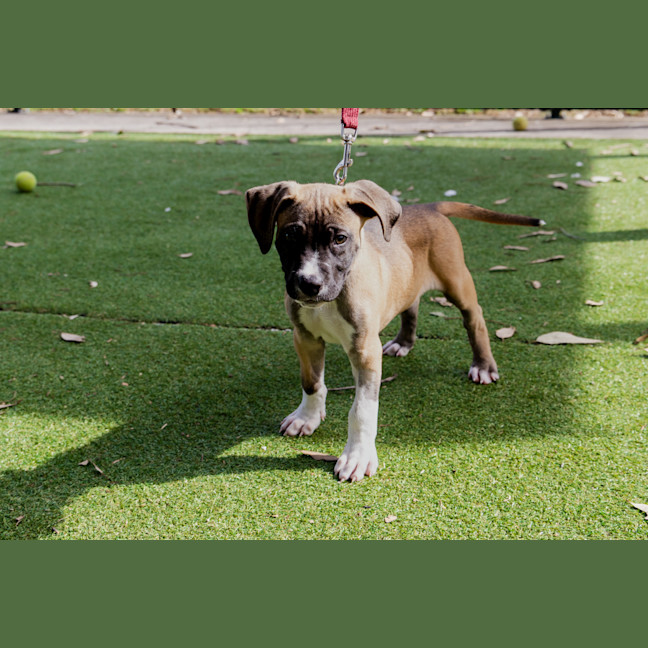 Photo of Chucklesworth