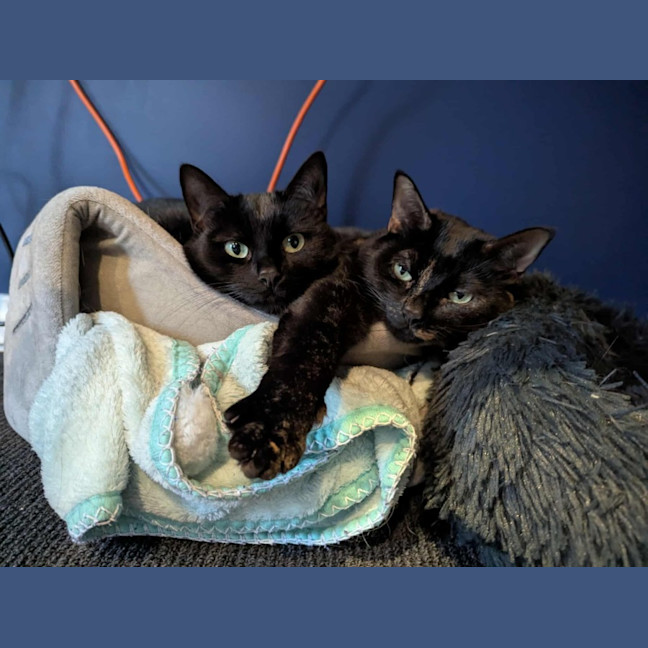 Photo of Amy & Declan