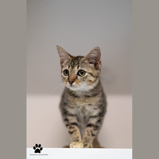 Photo of Betty