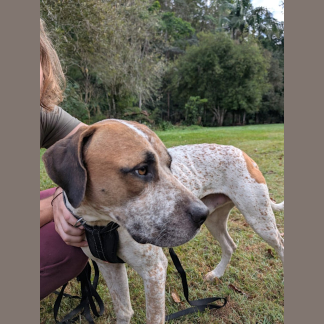 Photo of D1180 Diesel 