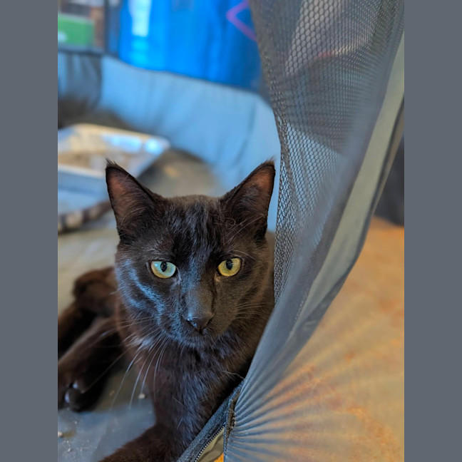 Photo of Xander