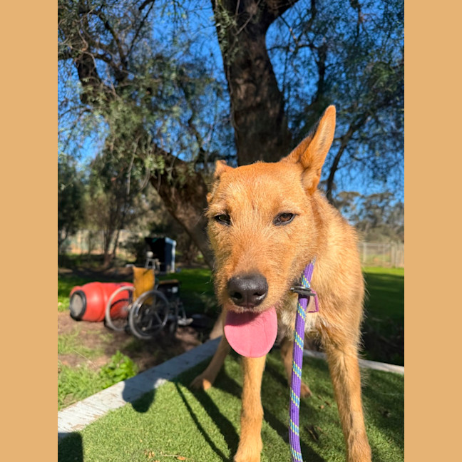 Photo of Lexi 