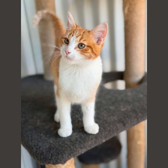 Photo of Skeeter
