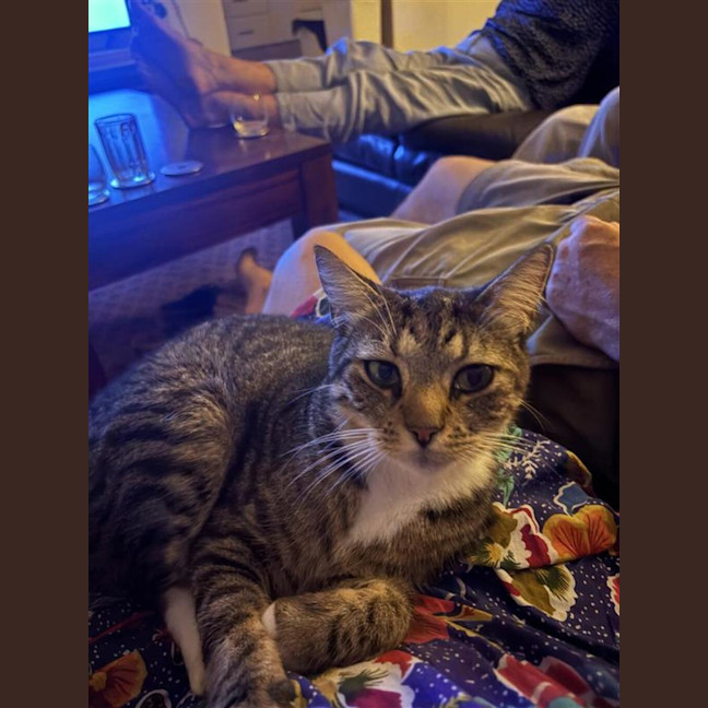 Photo of Bandit