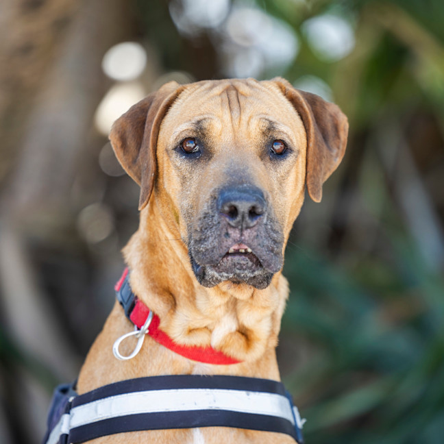 Photo of Dayna (Donya)