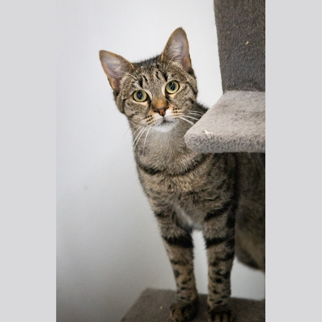 Photo of Tabitha