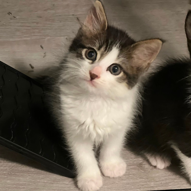 Photo of Audrey 💕