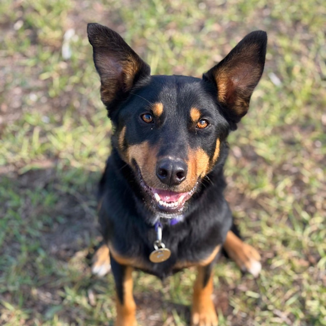 Photo of Finn
