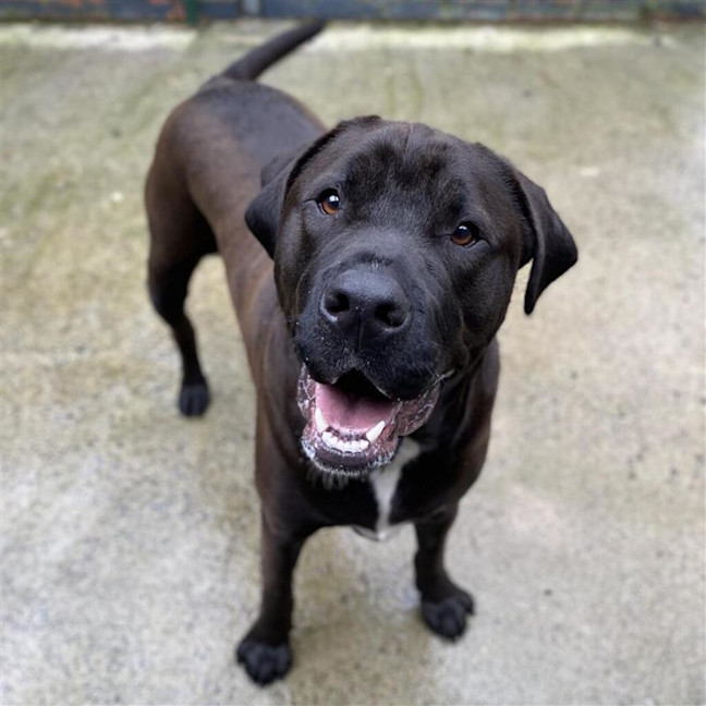 Photo of Tyson