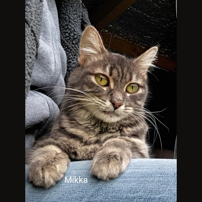 Photo of Mikka