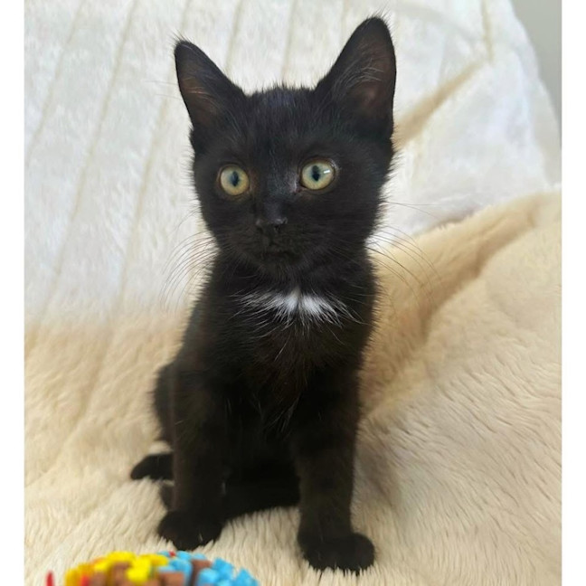 Photo of 11980   Toots