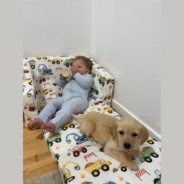 Photo of Maple Woods