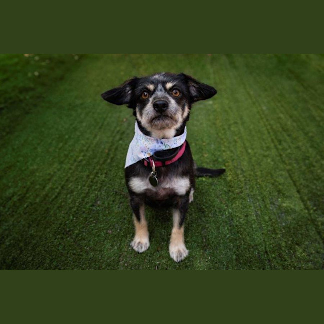 Photo of Jedda O'cleary