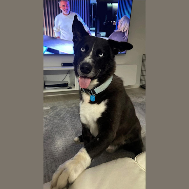Photo of Zeus