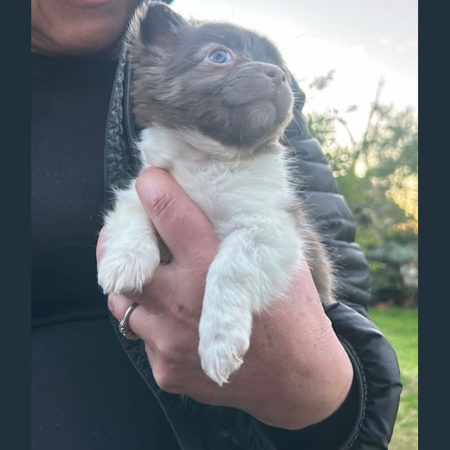 Photo of Chia And Sisters