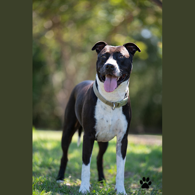 Photo of Tyson