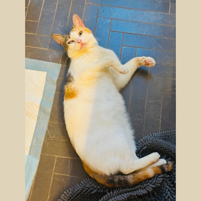 Photo of Molly