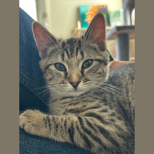 Photo of Nancy