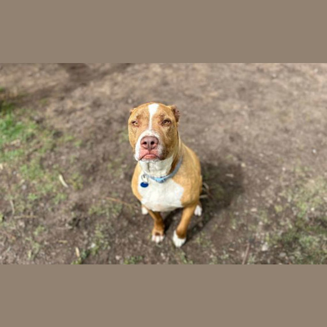 Photo of Benny
