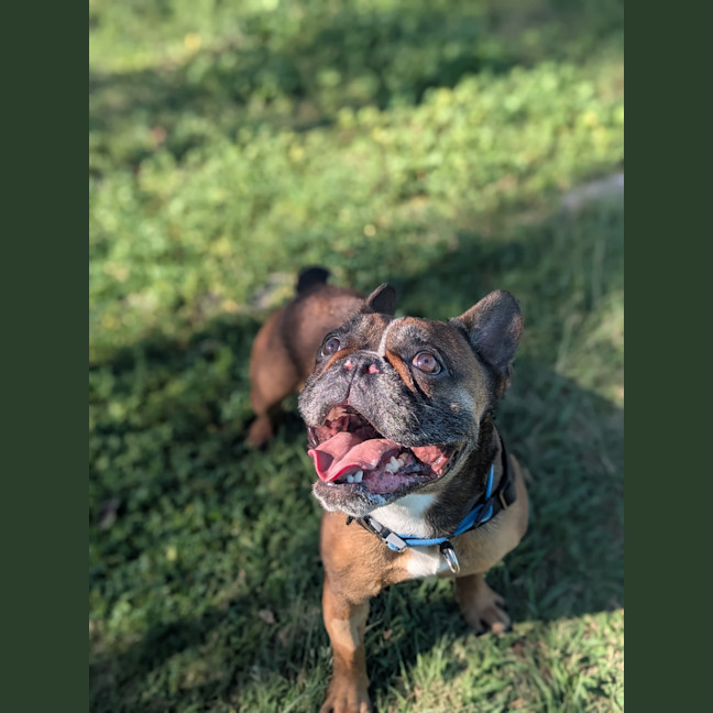 Photo of Axle