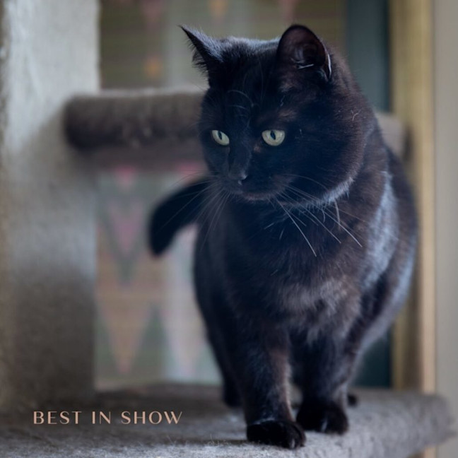 Photo of Luna