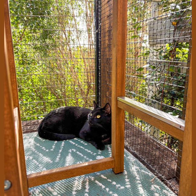 Photo of Neo
