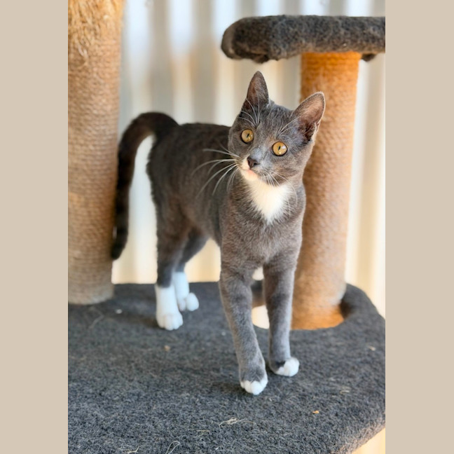 Photo of Nora