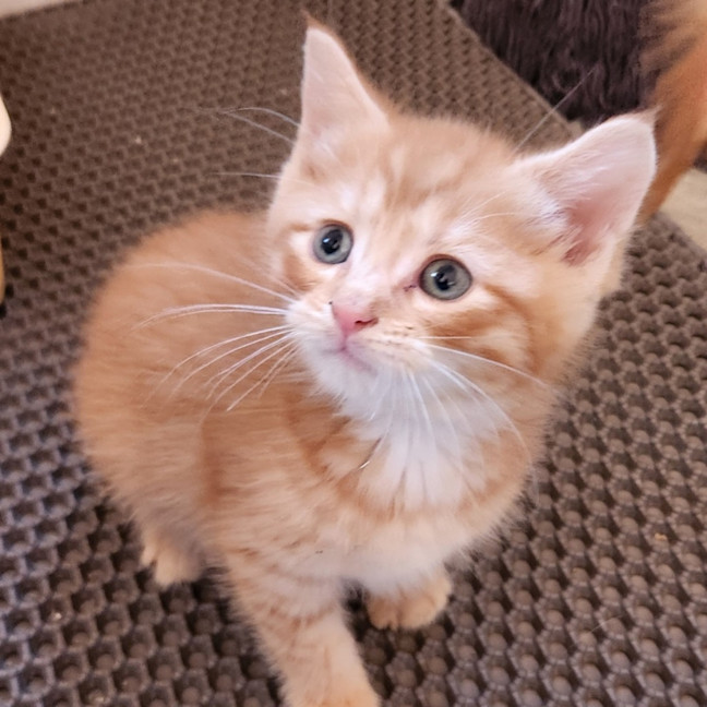 Photo of Arlo