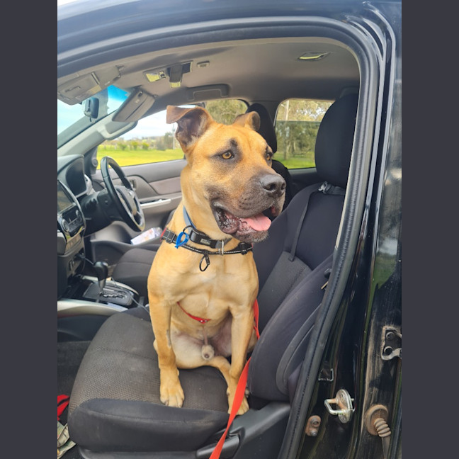 Photo of Maverick