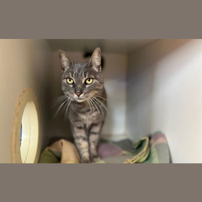 Photo of Lily
