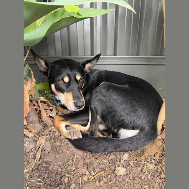 Photo of Spencer